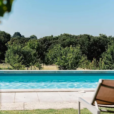 Domaine De La Peyrine - Mesange Carignan-de-Bordeaux